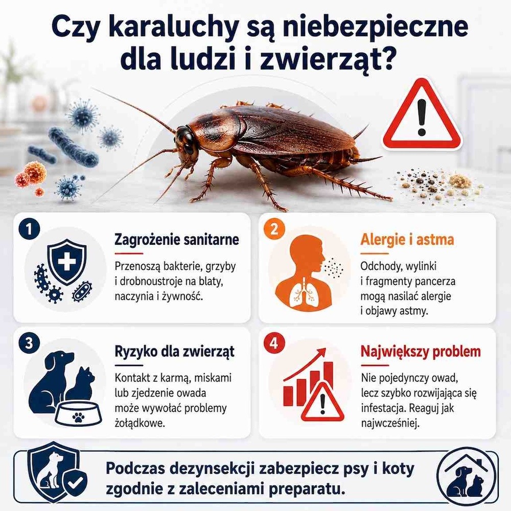 czy karaluchy gryzą ludzi i zwierzęta 